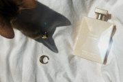 Über Pets Premium
